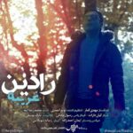 دانلود آهنگ جدید رادین غریبه