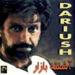 دانلود آهنگ داریوش دل من
