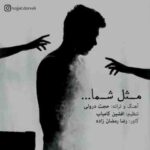 حجت درولی مثل شما
