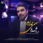 دانلود آهنگ جدید شهداد سهمی ندارم