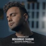 دانلود آهنگ جدید محمد شعبانی ناراحتم ازت