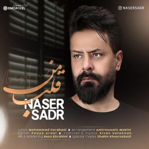 دانلود آهنگ جدید ناصر صدر قلب من