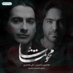 دانلود آهنگ جدید همایون شجریان و علی قمصری محو تماشا