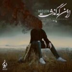 مجین از من که گذشت
