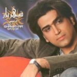 دانلود آهنگ شهریار ناجی