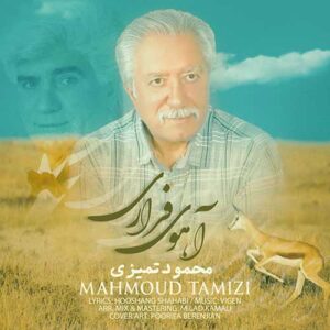 دانلود آهنگ جدید محمود تمیزی آهوی فراری دانلود آهنگ جدید محمود تمیزی آهوی فراری