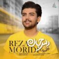 دانلود آهنگ جدید رضا مریدی دلبر جان