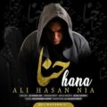 دانلود آهنگ جدید علی حسن نیا حنا