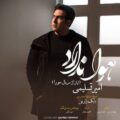 دانلود آهنگ جدید امیر تسلیمی هوا ندارد