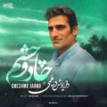 دانلود آهنگ جدید داریوش دیلمی چشم جادو