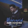 دانلود آهنگ جدید میلاد شاهبندی مروارید