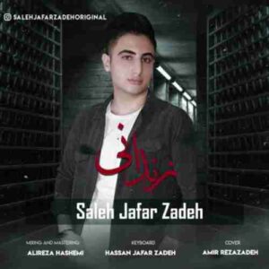 دانلود آهنگ جدید صالح جعفرزاده زندونی