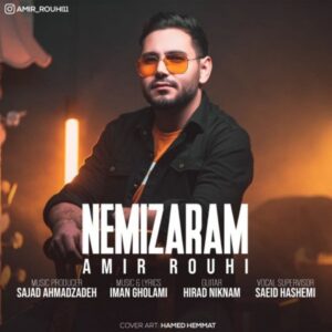 دانلود آهنگ جدید امیر روحی نمیزارم