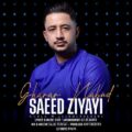 دانلود آهنگ جدید سعید ضیایی قرار نبود