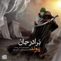 دانلود آهنگ جدید پیوند برادر جان
