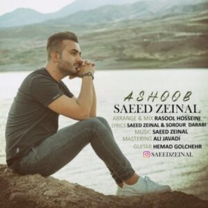 دانلود آهنگ جدید سعید زینال آشوب