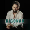 دانلود آهنگ جدید ابی ابراهیمی بیگناه