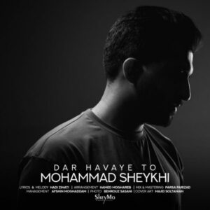 دانلود آهنگ جدید محمد شیخی در هوای تو