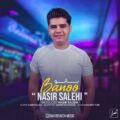 دانلود آهنگ جدید نصیر صالحی بانو