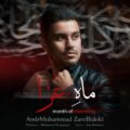 دانلود آهنگ جدید امیرمحمد زارع بیدکی ماه عزا