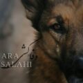 دانلود آهنگ جدید آرا صلاحی وفاکشی