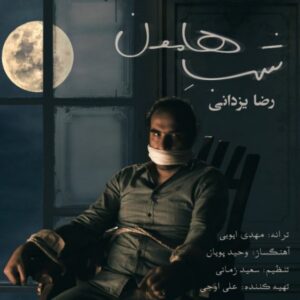دانلود آهنگ جدید رضا یزدانی شب هامون  