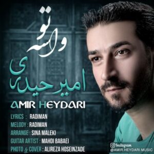 دانلود آهنگ جدید امیر حیدری واسه تو