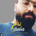دانلود آهنگ جدید شهراد پایتم