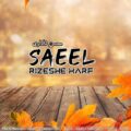 دانلود آهنگ جدید ساییل (محسن شکاری) ریزش حرف