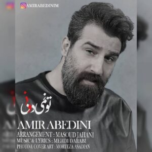 دانلود آهنگ جدید امیر عابدینی تو نمیدونی