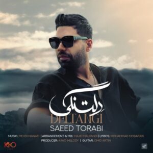 دانلود آهنگ جدید سعید ترابی دلتنگی دانلود آهنگ جدید سعید ترابی دلتنگی