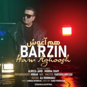 دانلود آهنگ جدید برزین هم آغوش