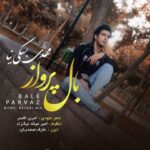 مهدی بسکی نیا بال پرواز