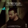    دانلود آهنگ جدید محمد مهراد نمیزارم