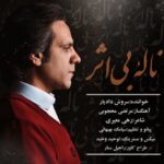 سروش دادیار ناله‌ بی اثر