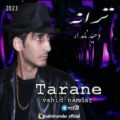 دانلود آهنگ جدید وحید نامدار ترانه