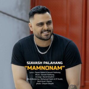 دانلود آهنگ جدید سیاوش پالاهنگ ممنونم