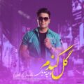 دانلود آهنگ جدید وحید سدیدی گل گندم