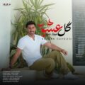 دانلود آهنگ جدید کیوان داوودی گل عشق