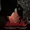 دانلود آهنگ جدید حمید شکرانه دل ساده ی من