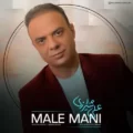 دانلود آهنگ جدید علی شیرازی ماله منی