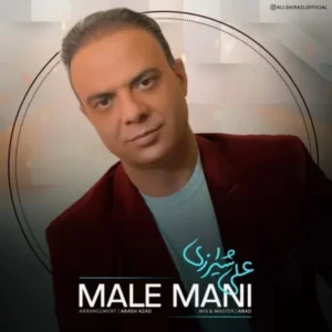 دانلود آهنگ جدید علی شیرازی ماله منی