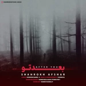 دانلود آهنگ جدید شاهرخ افشار بعد تو