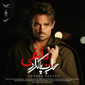 دانلود آهنگ جدید سهراب پاکزاد یاغی