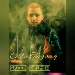 دانلود آهنگ جدید سعید گلروحی گل تگرگ دانلود آهنگ جدید سعید گلروحی گل تگرگ