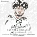 دانلود آهنگ جدید علی محمدی من تورا میخواهم