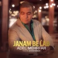 دانلود آهنگ جدید عادل مهرفر جانم به لب