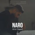 دانلود آهنگ جدید امیرسجاد آرگینی نرو