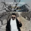 دانلود آهنگ جدید هادی سپاسی بی دلیل