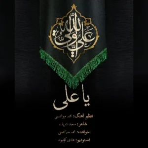 دانلود آهنگ جدید محمد میر شمسی یا علی دانلود آهنگ جدید محمد میر شمسی یا علی